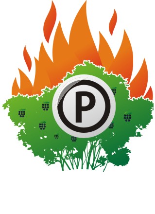 Файл:Logo-MG-1-e-var.jpg
