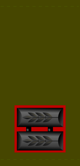 Файл:266px-IDF segen.svg.png