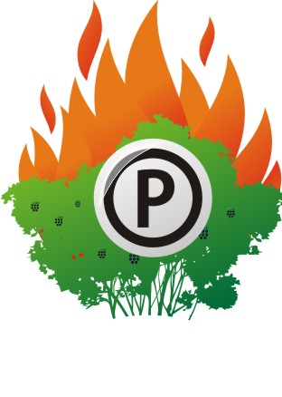 Файл:Logo-MG-1-p.jpg