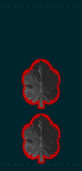 Файл:266px-IDF sgan aluf.svg.png