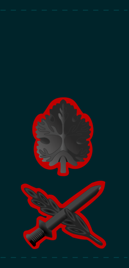 Файл:266px-IDF aluf.svg.png