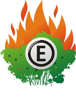 Файл:Logo-MG-1-e.jpg