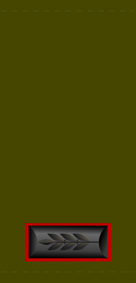 Файл:266px-IDF segen mishne.svg.png