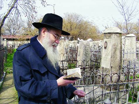 Файл:Gurevich22.jpg