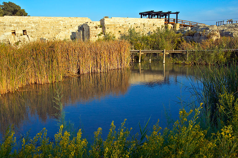 Файл:Nahal Taninim 001.jpg