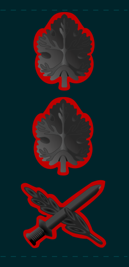 Файл:266px-IDF rav aluf.svg.png