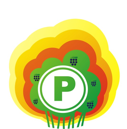 Файл:Logo-MG-2-p.jpg