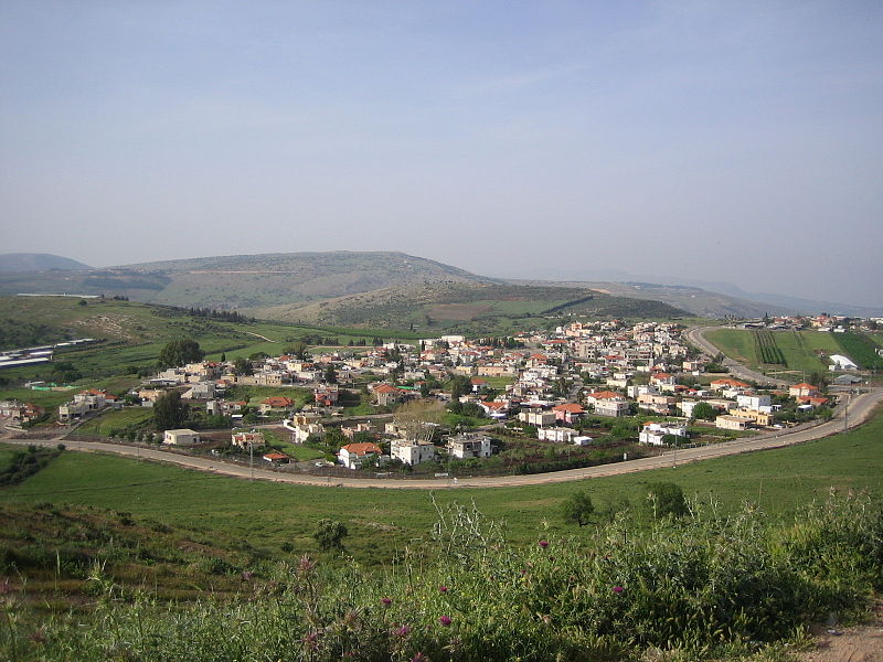 Файл:Reyhaniya.jpg