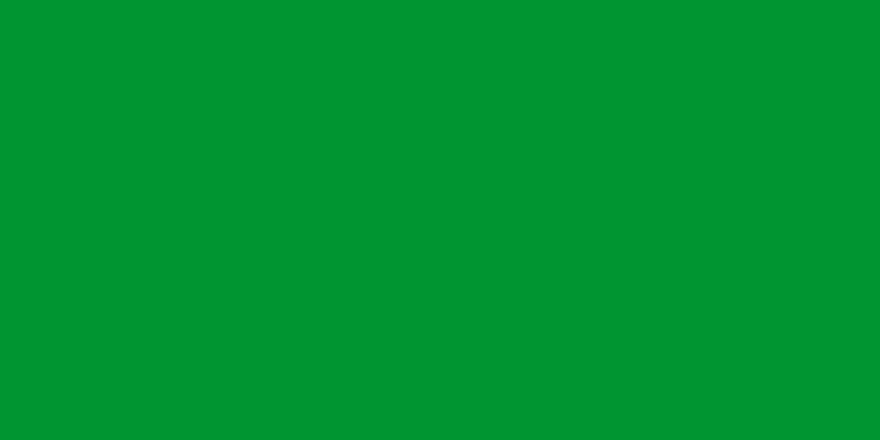 Файл:Flag of Libya.svg