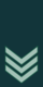 86px-IDF Ranks Ranam.svg.png